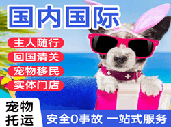 乌鲁木齐航空空运国际宠物托运 【国
